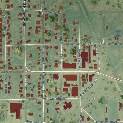 Close-up of the map of Celeste, Texas print showing street and building detail