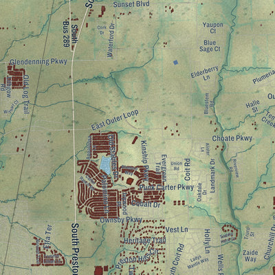 Close-up of the map of Celina, Texas print showing street and building detail