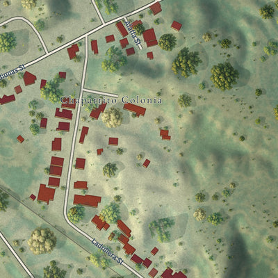 Close-up of the map of Chaparrito, Texas print showing street and building detail