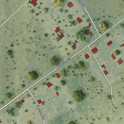 Close-up of the map of Chapeno, Texas print showing street and building detail