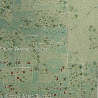 Close-up of the map of Coyote Acres, Texas print showing street and building detail