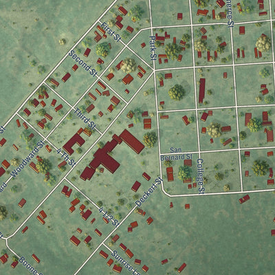 Close-up of the map of Damon, Texas print showing street and building detail