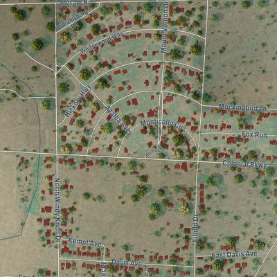 Second close-up of the map of Devine, Texas print showing more streets and buildings