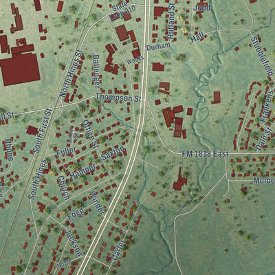 Close-up of the map of Diboll, Texas print showing street and building detail