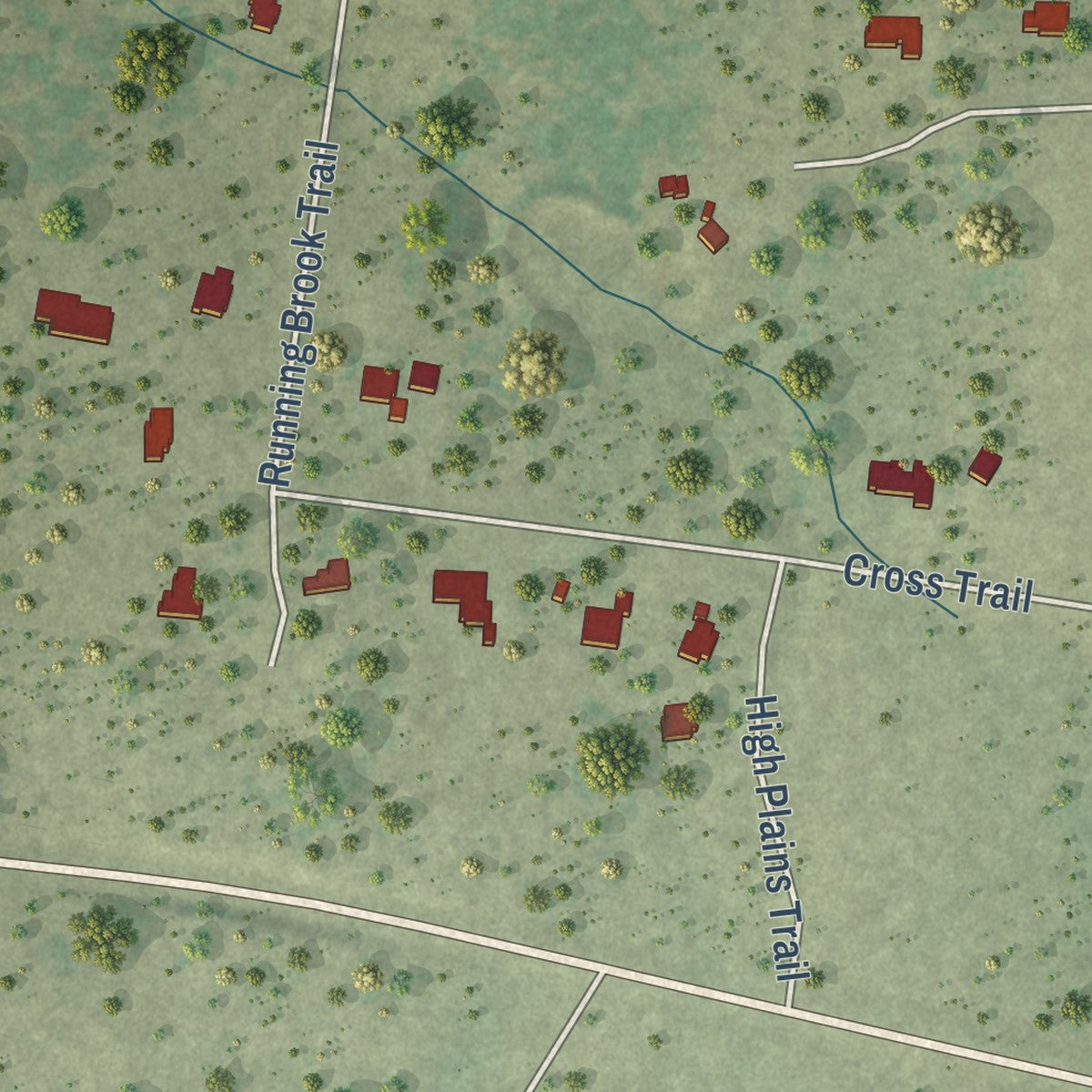 Second close-up of the map of Double Horn, Texas print showing more streets and buildings