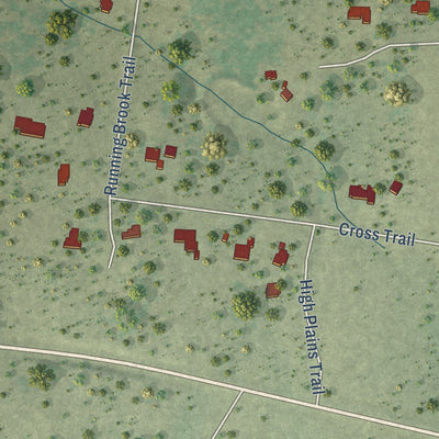 Second close-up of the map of Double Horn, Texas print showing more streets and buildings