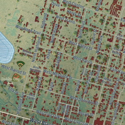 Close-up of the map of Dublin, Texas print showing street and building detail