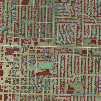 Close-up of the map of Dumas, Texas print showing street and building detail