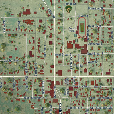 Close-up of the map of Eden, Texas print showing street and building detail