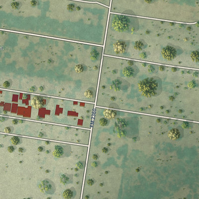 Close-up of the map of El Socio, Texas print showing street and building detail