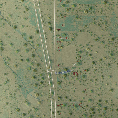 Close-up of the map of Encino, Texas print showing street and building detail
