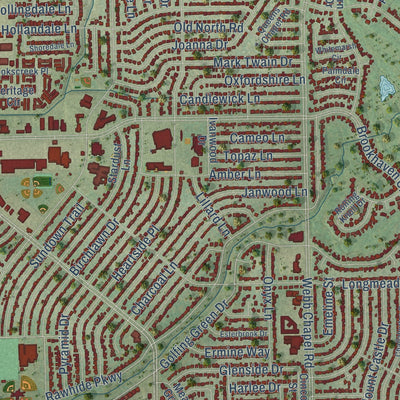 Close-up of the map of Farmers Branch, Texas print showing street and building detail
