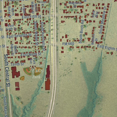 Close-up of the map of Ferris, Texas print showing street and building detail