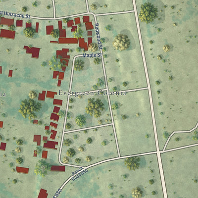 Close-up of the map of Fronton Ranchettes, Texas print showing street and building detail