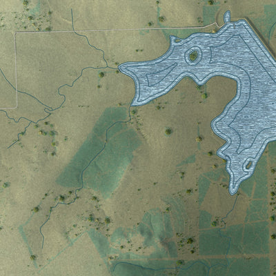 Close-up of the map of Geronimo, Texas print showing street and building detail
