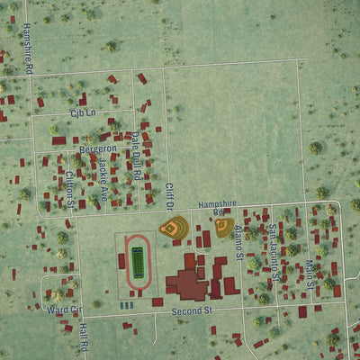 Close-up of the map of Hamshire, Texas print showing street and building detail