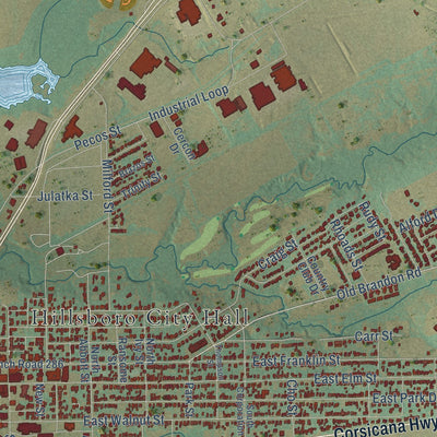Close-up of the map of Hillsboro, Texas print showing street and building detail