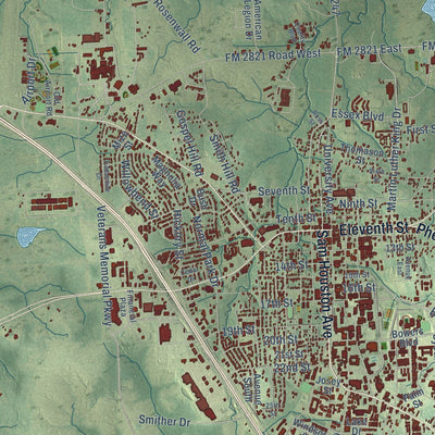 Close-up of the map of Huntsville, Texas print showing street and building detail