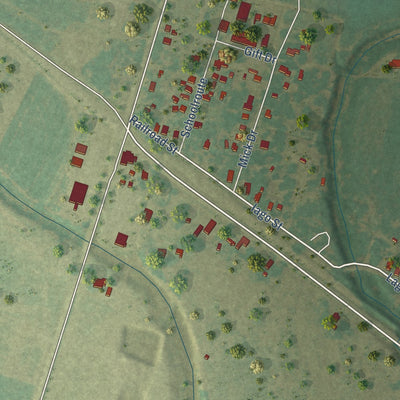 Close-up of the map of Iago, Texas print showing street and building detail
