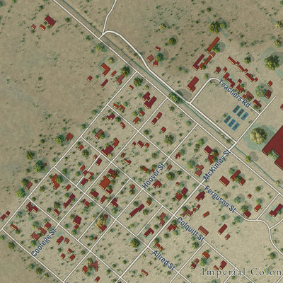 Close-up of the map of Imperial, Texas print showing street and building detail