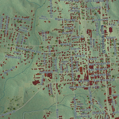 Close-up of the map of Jasper, Texas print showing street and building detail