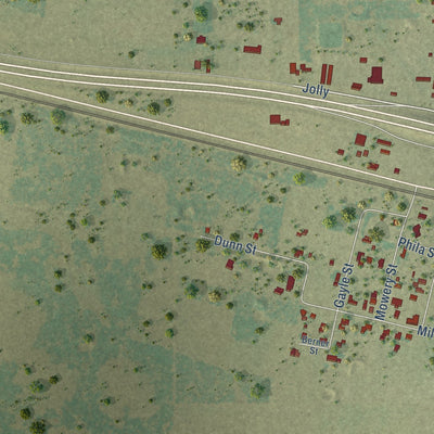 Close-up of the map of Jolly, Texas print showing street and building detail