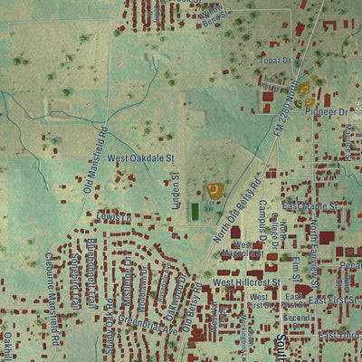 Close-up of the map of Keene, Texas print showing street and building detail