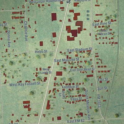 Close-up of the map of Kirbyville, Texas print showing street and building detail