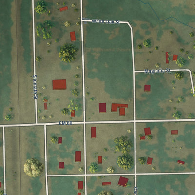 Close-up of the map of Kirvin, Texas print showing street and building detail