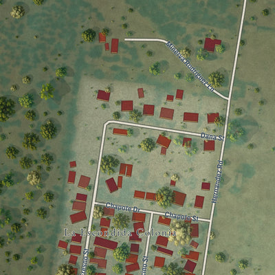 Close-up of the map of La Escondida, Texas print showing street and building detail