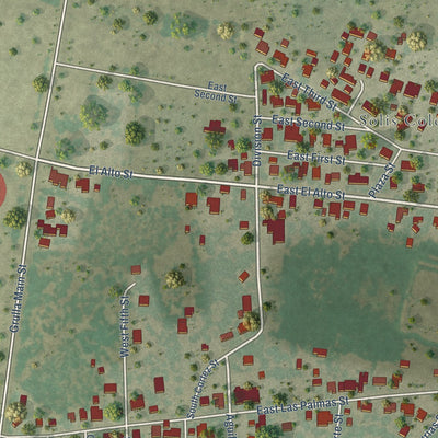 Second close-up of the map of La Grulla, Texas print showing more streets and buildings