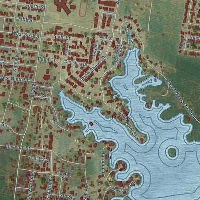 Close-up of the map of La Joya, Texas print showing street and building detail