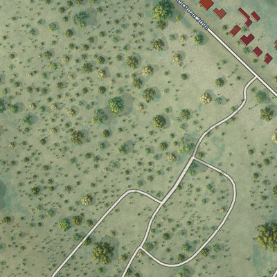 Close-up of the map of La Loma de Falcon, Texas print showing street and building detail