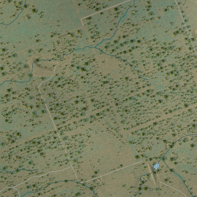 Close-up of the map of La Moca Ranch, Texas print showing street and building detail