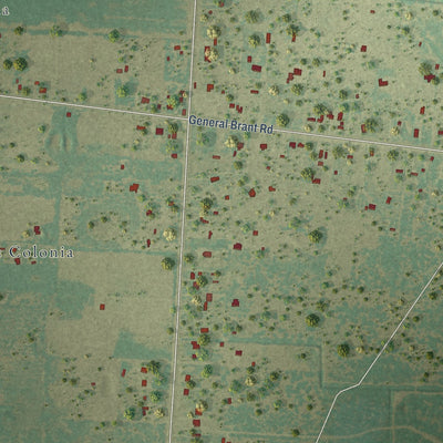 Close-up of the map of La Tina Ranch, Texas print showing street and building detail