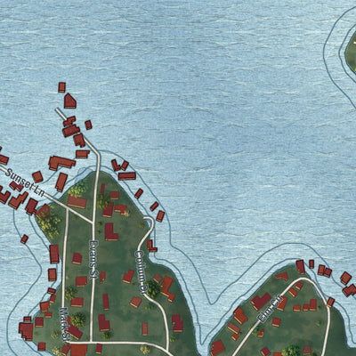 Close-up of the map of Lake Bridgeport, Texas print showing street and building detail