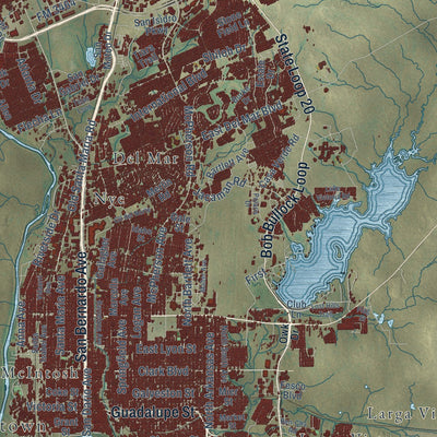 Close-up of the map of Laredo, Texas print showing street and building detail