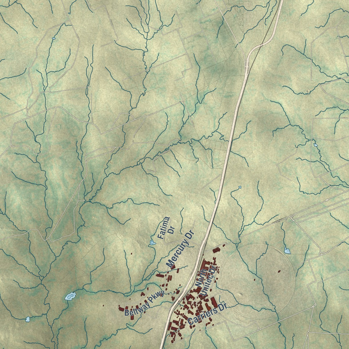 Second close-up of the map of Laredo, Texas print showing more streets and buildings