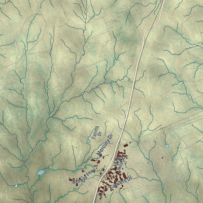 Second close-up of the map of Laredo, Texas print showing more streets and buildings