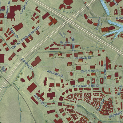 Close-up of the map of Las Colinas, Texas print showing street and building detail