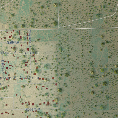 Close-up of the map of Las Lomitas, Texas print showing street and building detail