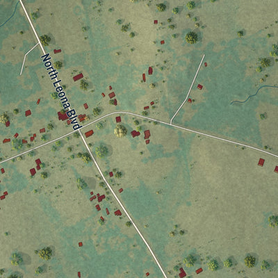 Second close-up of the map of Leona, Texas print showing more streets and buildings