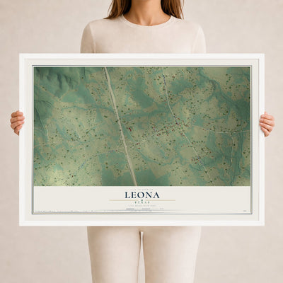 Map of Leona, Texas, 24 x 36 inch print in a white wood frame