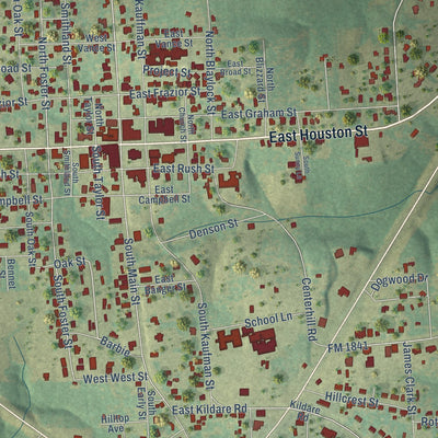 Close-up of the map of Linden, Texas print showing street and building detail