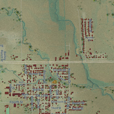 Close-up of the map of Lindsay, Texas print showing street and building detail