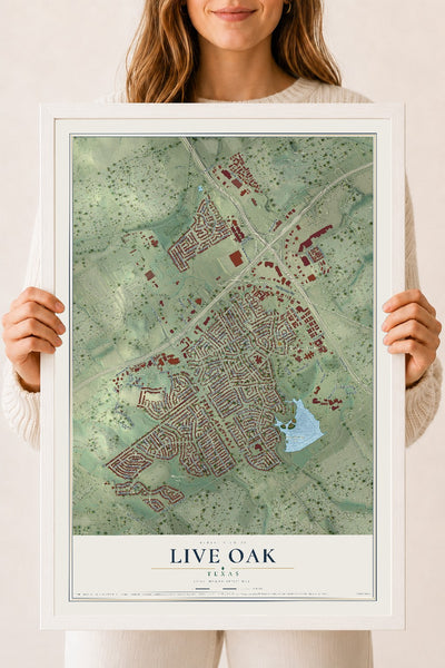 Map of Live Oak, Texas, 18 x 24 inch print in a white wood frame