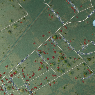 Close-up of the map of Liverpool, Texas print showing street and building detail