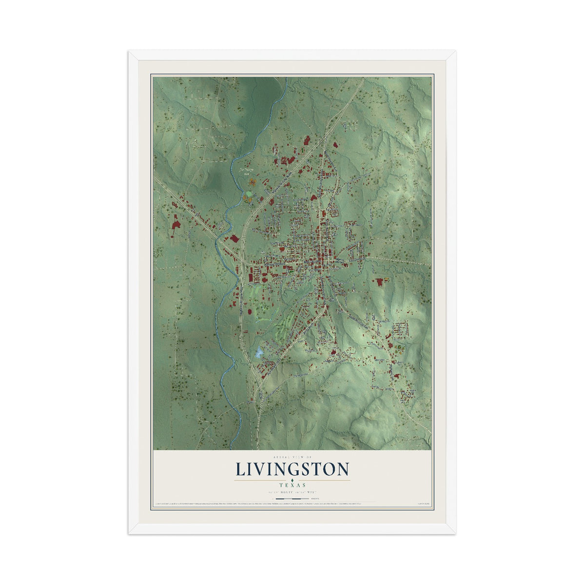 Map of Livingston, Texas, 12 x 18 inch print in a white wood frame