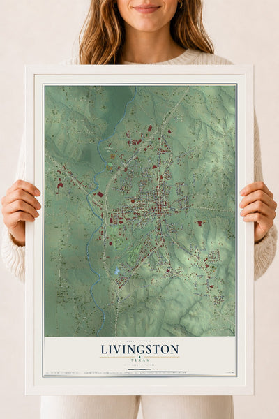 Map of Livingston, Texas, 18 x 24 inch print in a white wood frame