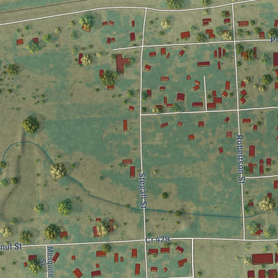 Close-up of the map of Lolita, Texas print showing street and building detail